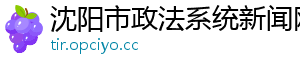 沈阳市政法系统新闻网